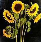 David Hardy Sunflowers painting